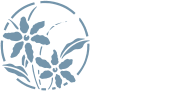 Jenny Pearce